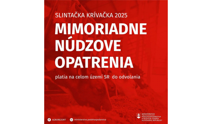 Mimoriadny stav
