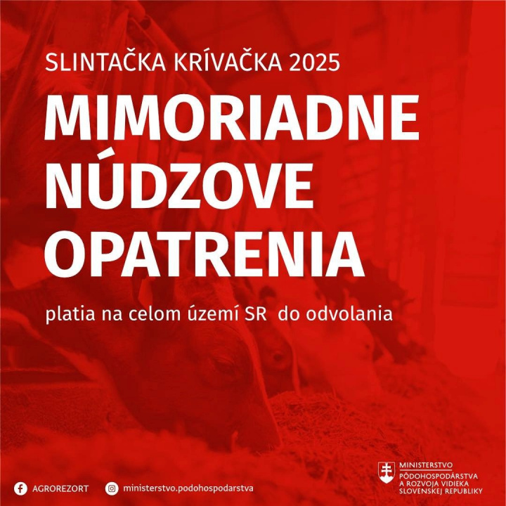Mimoriadny stav