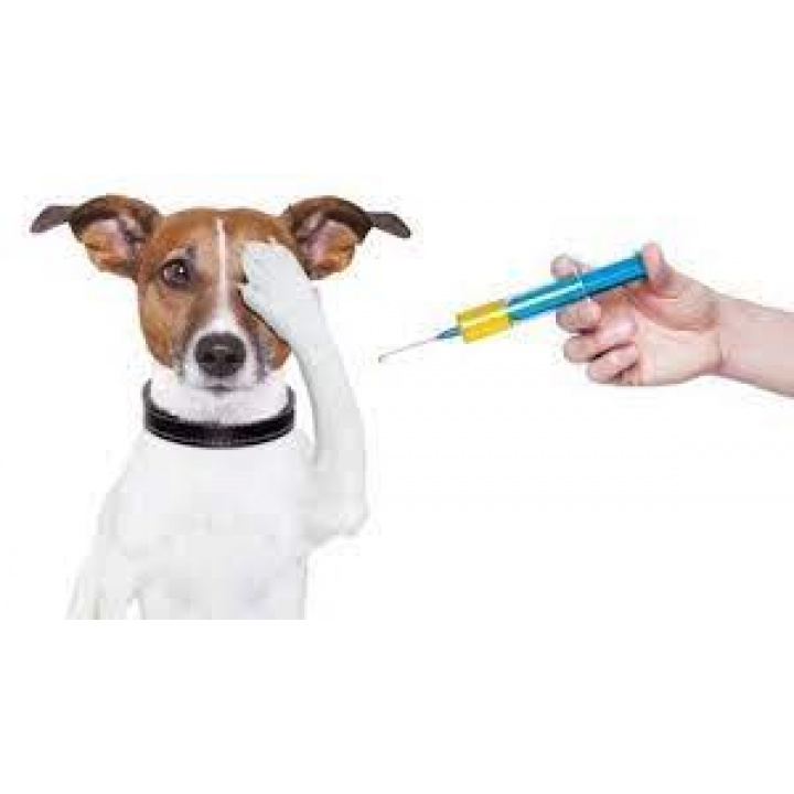 Povinné očkovanie psov a mačiek proti besnote